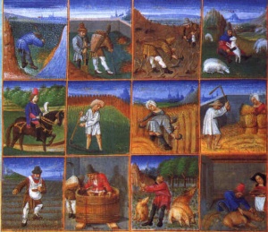 Le rythme saisonnier des paysans au Moyen Âge (chaque tableau = 1 mois)