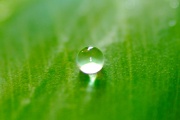 Sans eau, la vie n'existerait pas.