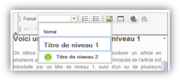 Les styles prédéfinis dans Wikimini