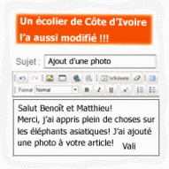 Bulle 9