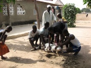 Tabaski, Haute Casamance (Sénégal)