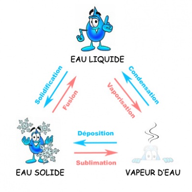 Les trois états (ou phases) de l'eau : liquide - solide - gazeux.